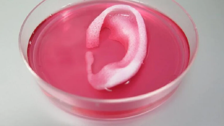 3D printed organs